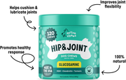 Active Chews Hip & Joint Chews for Dogs